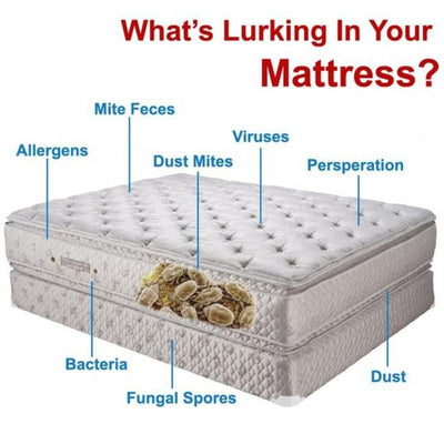 Natural Dust Mites Treatment For Your Bed Sheets, Mattresses & Pillows