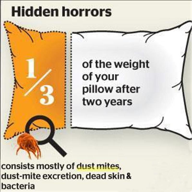 Natural Dust Mites Treatment For Your Bed Sheets, Mattresses & Pillows