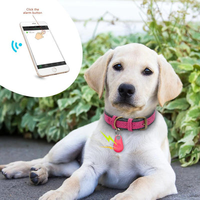 Mini GPS Tracker device for Pets
