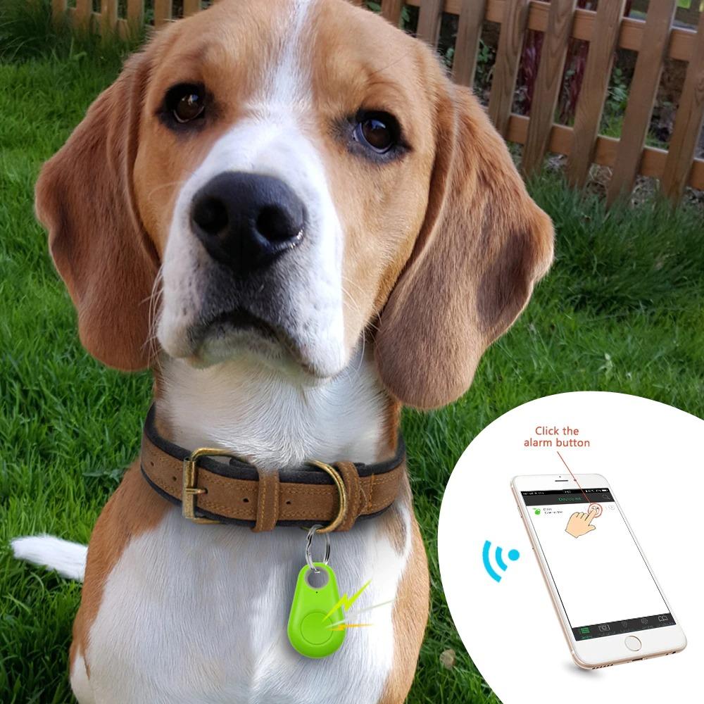 Mini GPS Tracker device for Pets