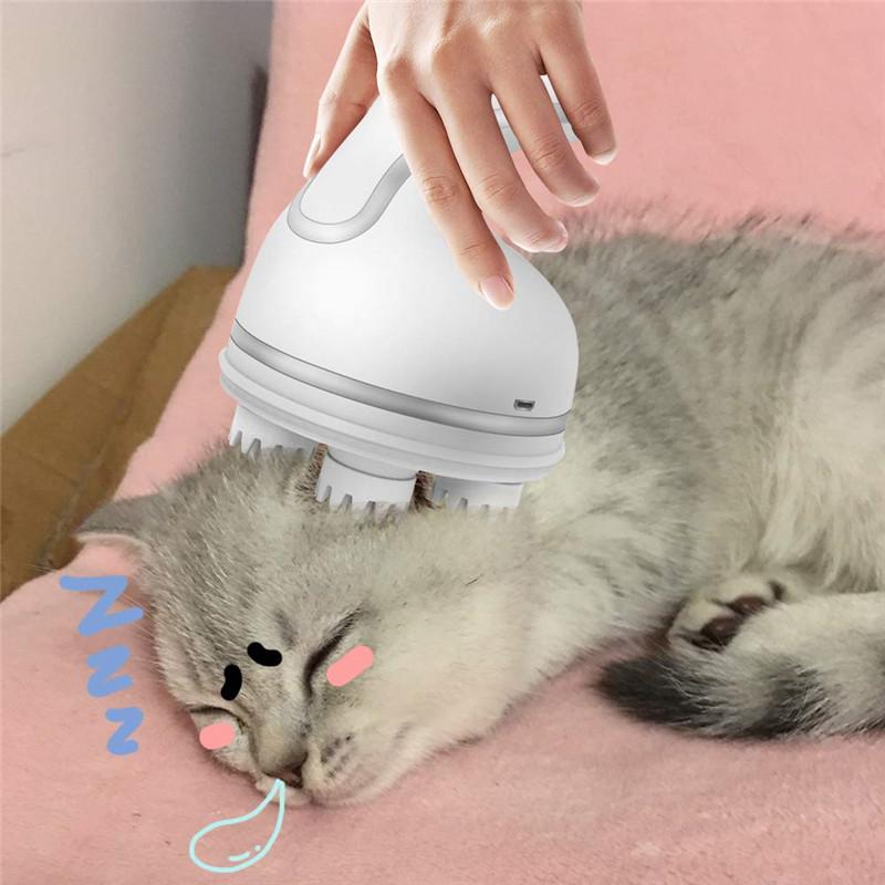 Electric Pet Massager