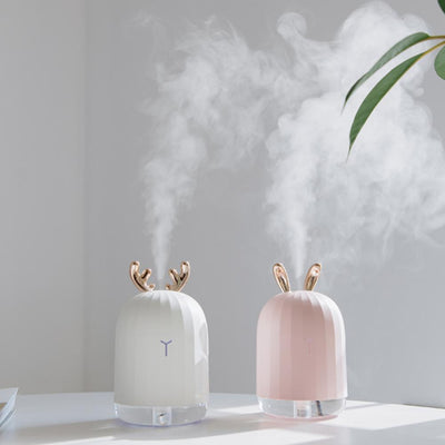 Ultrasonic Humidifier For Dry Air