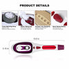 Portable Travel Steam Iron With Cleaning Brush