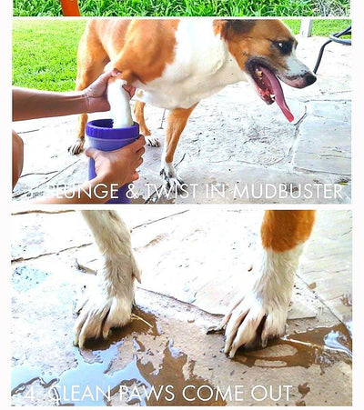 Portable Pet Foot Washer